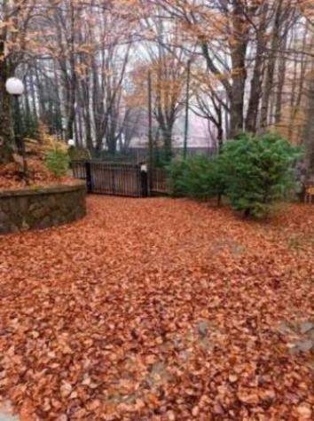 Immobile in asta di 125 m² con più di 5 locali in vendita a Santo Stefano in Aspromonte - Foto 7