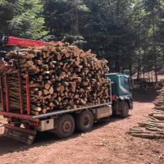 Lacaria Legnami - Foto 4