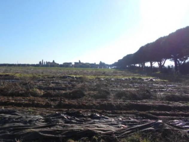 Immobile in asta di 82648 m² in vendita a Latina - Foto 7