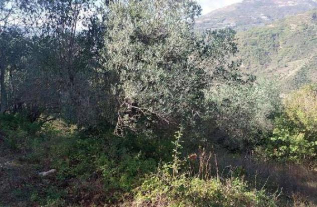 Immobile in asta di 155 m² in vendita a Trivento - Foto 5