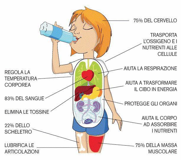 Consulente del Benessere e Nutrizione - Foto 2