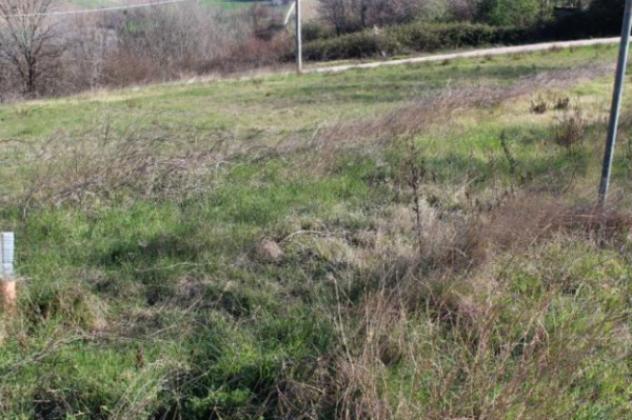 Immobile in asta di 2550 m² in vendita a Montegranaro