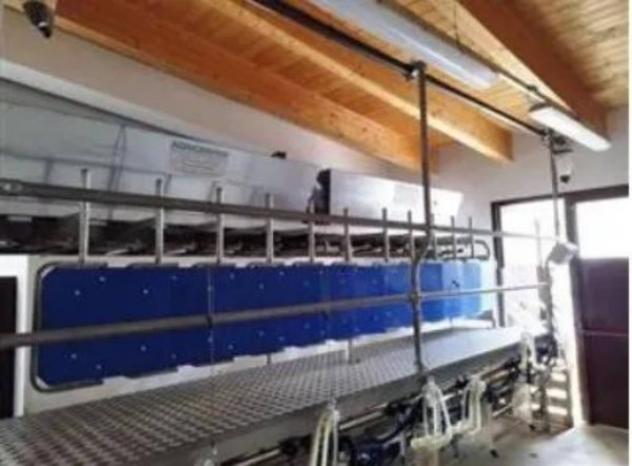 Immobile in asta di 293909 m² in vendita a Montefelcino - Foto 8