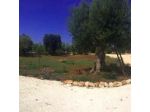 Rooms Masseria Giangrande