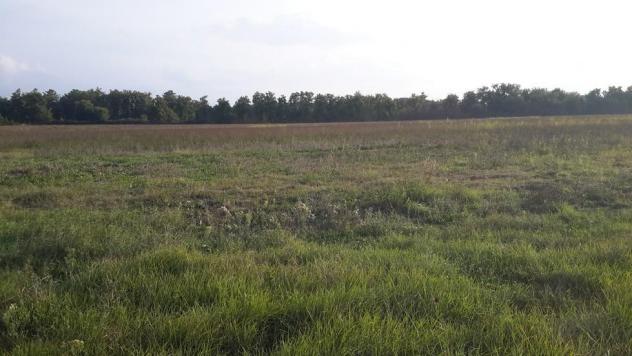 casa indipendente in vendita a Castiglione del Lago
