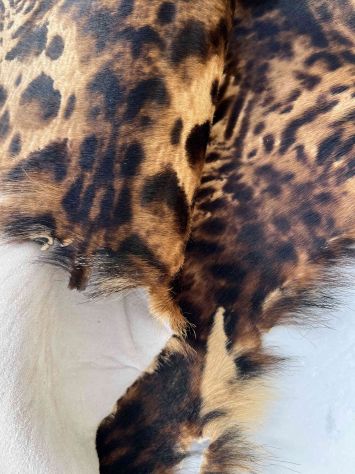 Pelle cavallino leopardato per artigianato - Foto 6
