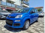 FIAT Panda 1.0 FireFly 70CV S&S Hybrid rif. 23377935