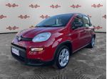 FIAT Panda Panda 1.0 firefly hybrid 70cv 5 POSTI, PRONTA CONSEGNA!