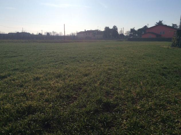 Terreno Residenziale - Cavarzere . Rif.: C0129VRG - Foto 6