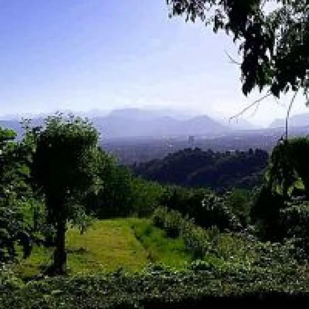 B&B Antica Vigna - Foto 4
