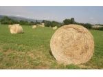 BORGO S LORENZO 6 HA TERRENO ANNESSI SORGENTE
