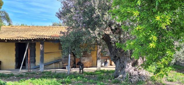 Terreno in vendita a Noto - Foto 11