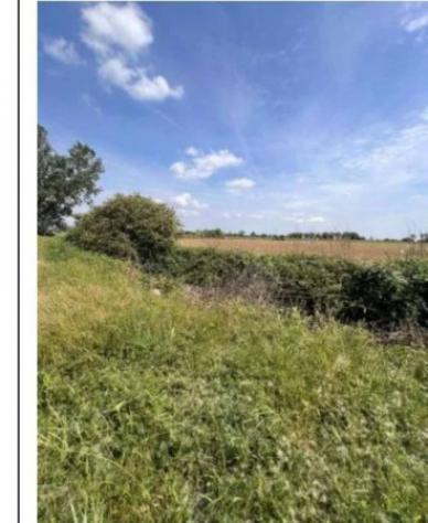Immobile in asta di 60550 m² in vendita a Remedello - Foto 6