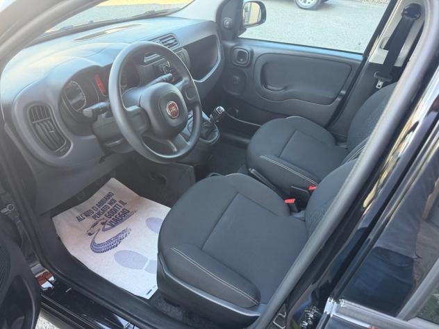 Fiat Panda 1.0 FireFly S&S Hybrid - Foto 2