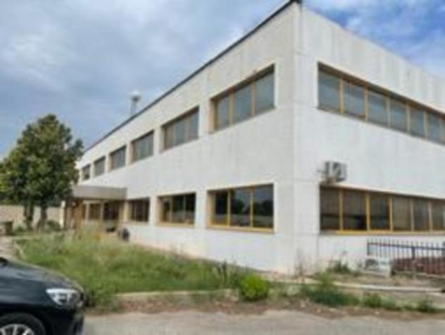 Immobile in asta di 11658 m² con più di 5 locali in vendita a Palo del Colle - Foto 2
