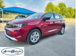 OPEL Grandland X 1.5 diesel Ecotec aut. Edition rif. 23614127