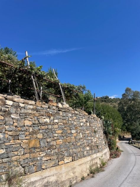 Casal Velino Frazione Acquavella terreno panoramico - Foto 2