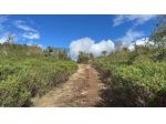 Colonica in vendita a Surrau - Arzachena 130 mq  Rif: 1353088