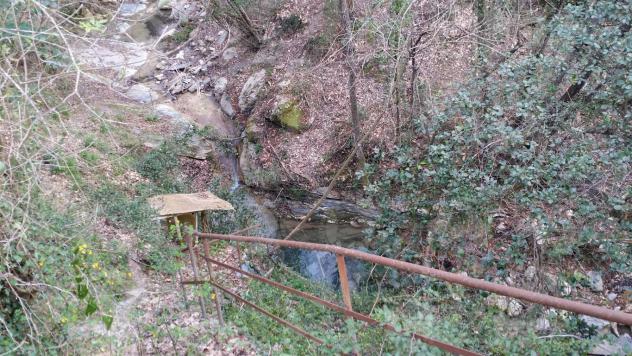 Alassio, terreno di circa 6.000 mq. con progetto per costruire una villa. - Foto 6