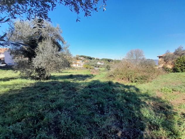 Terreno Edificabile - Rif. 2365 - Foto 10