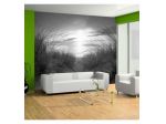 Fotomurale Adesivo Alba In Bianco E Nero Arredalacasa