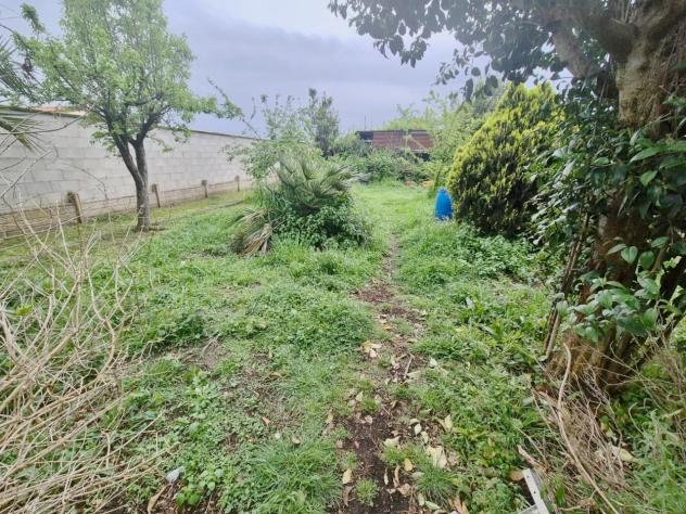 Terratetto in vendita a Casciavola - Cascina 105 mq Rif: 1409438 - Foto 8