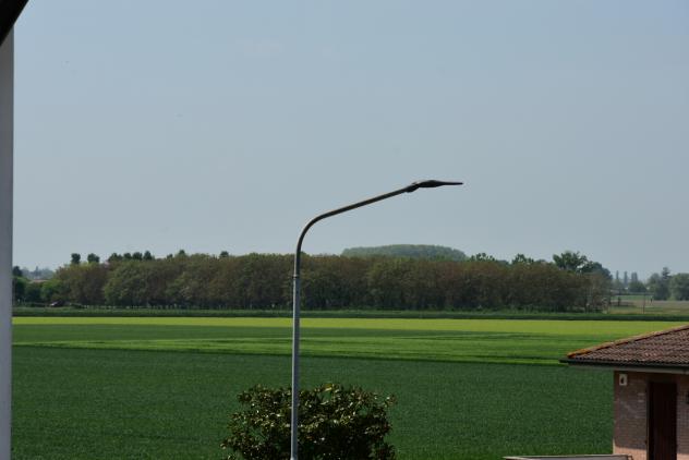 Appartamento in vendita a Galliera - Foto 16