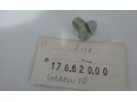 Vite registro cambio frizione Garelli Gulp 50 3v GR 17662000