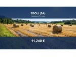 Immobile in asta di 5912 m² in vendita a Eboli
