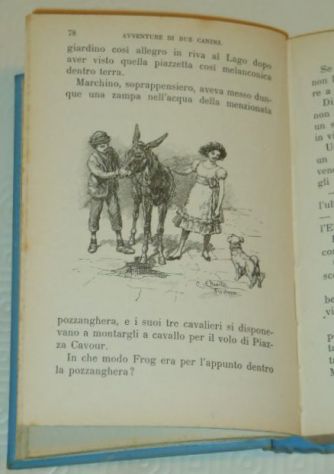 Avventure di due Canini, TOMMASO CATANI, ill. C. Chiostri, 1934. - Foto 4