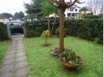 Appartamento in affitto a Vada - Rosignano Marittimo 45 mq  Rif: 468580