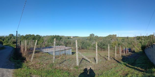 POMEZIA VALLE GAIA MONTAGNANO TERRENO AGRICOLO 1500 MQ. - Foto 3