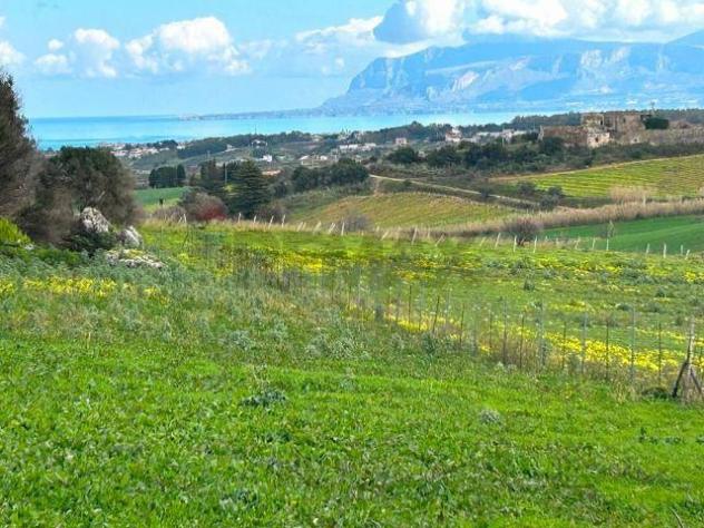 Terreno in vendita a Calatafimi-Segesta - Foto 4