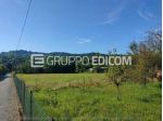 Terreno di 7959 mq  in vendita a Inarzo - Rif. 4552319