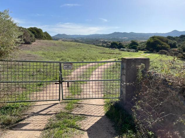 Casale in vendita a Vignola Mare - Aglientu 83000 mq Rif: 1395911 - Foto 2