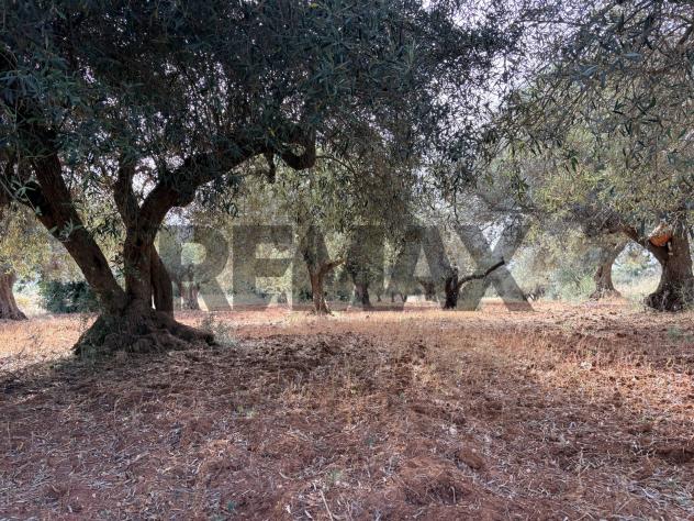 Terreno in vendita a Comiso, Centro - Foto 12