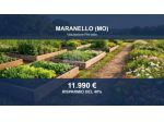Immobile in asta di 27815 m² in vendita a Maranello