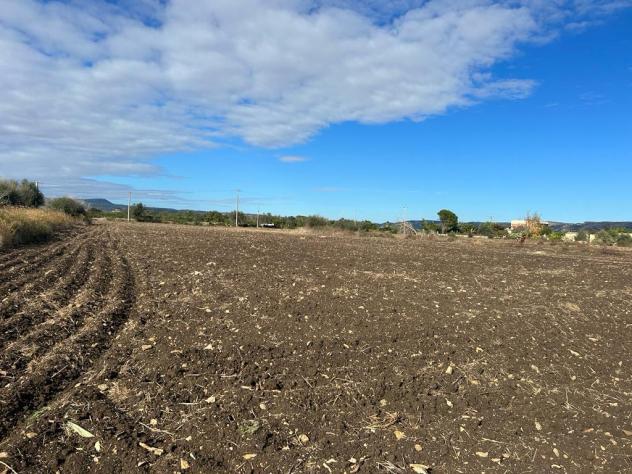 Seminativo in vendita a Siracusa