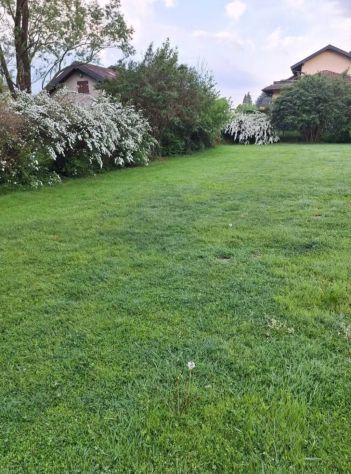 Villa con 4000mq di parco edificabile - Foto 7