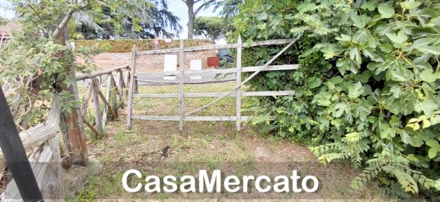 Agricolo in vendita a Rocca di Papa - Foto 13