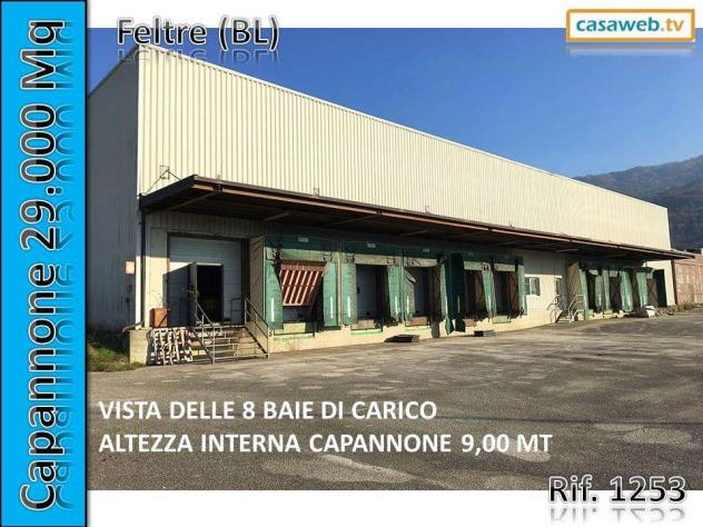 1253 - Capannone a Borgo Valbelluna - Foto 7