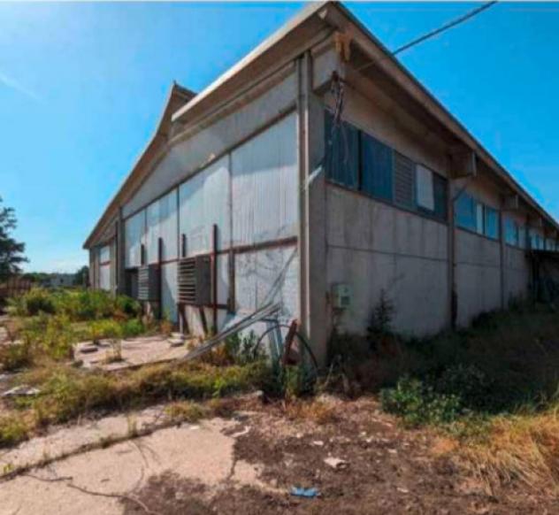 Immobile in asta di 9989 m² con più di 5 locali in vendita a Frascaro - Foto 10