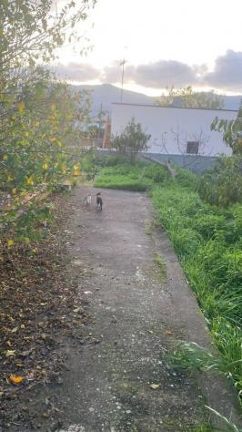 Villa a schiera - Carini . Rif.: 32934 - Foto 20