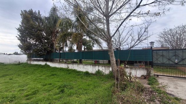 LOTTO DI TERRENO RECINTATO AGRICOLO di 600 Mq TRA POMIGLIANO E CASALNUOVO - Foto 2