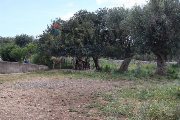 Rustico in vendita a Ragusa, Donnafugata - Foto 7