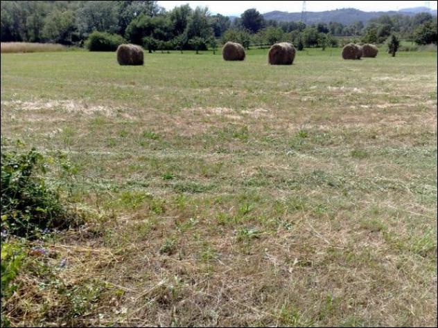 Terreno agricolo in vendita a Sarzana 5000 mq Rif: 1123247 - Foto 4
