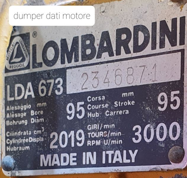 Dumper–Escavatore LONGHINI DHHM – Esemplare UNICO - Foto 9