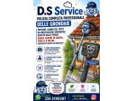 D.s service