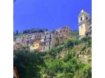 Amanarola