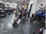 TRIUMPH Bonneville T120 Elvis Edition rif. 23849583